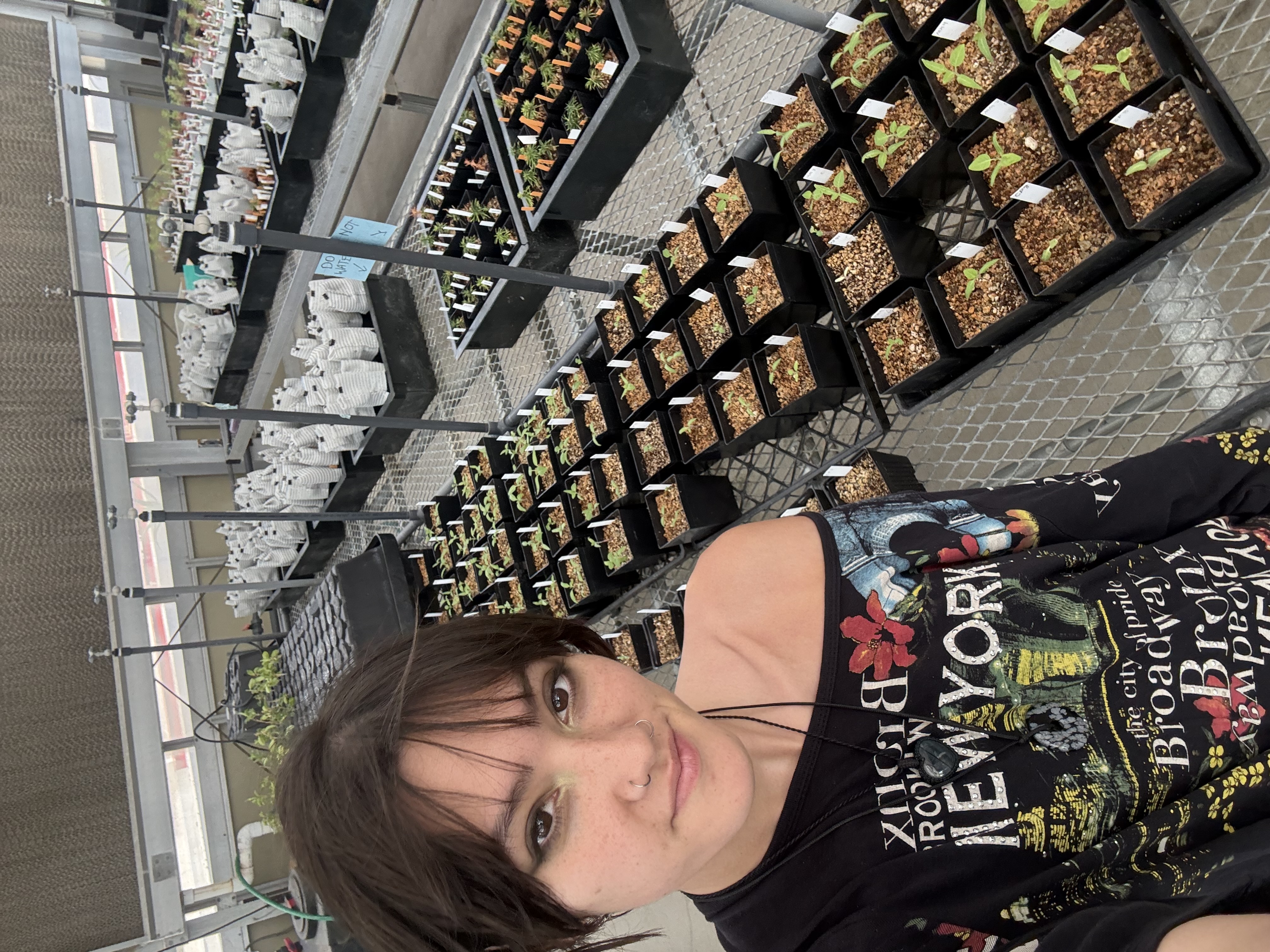 Undergraduate student Ava Jolly taking a selfie inside a campus greenhouse, standing next to a large table filled with dozens of small potted plant seedlings.