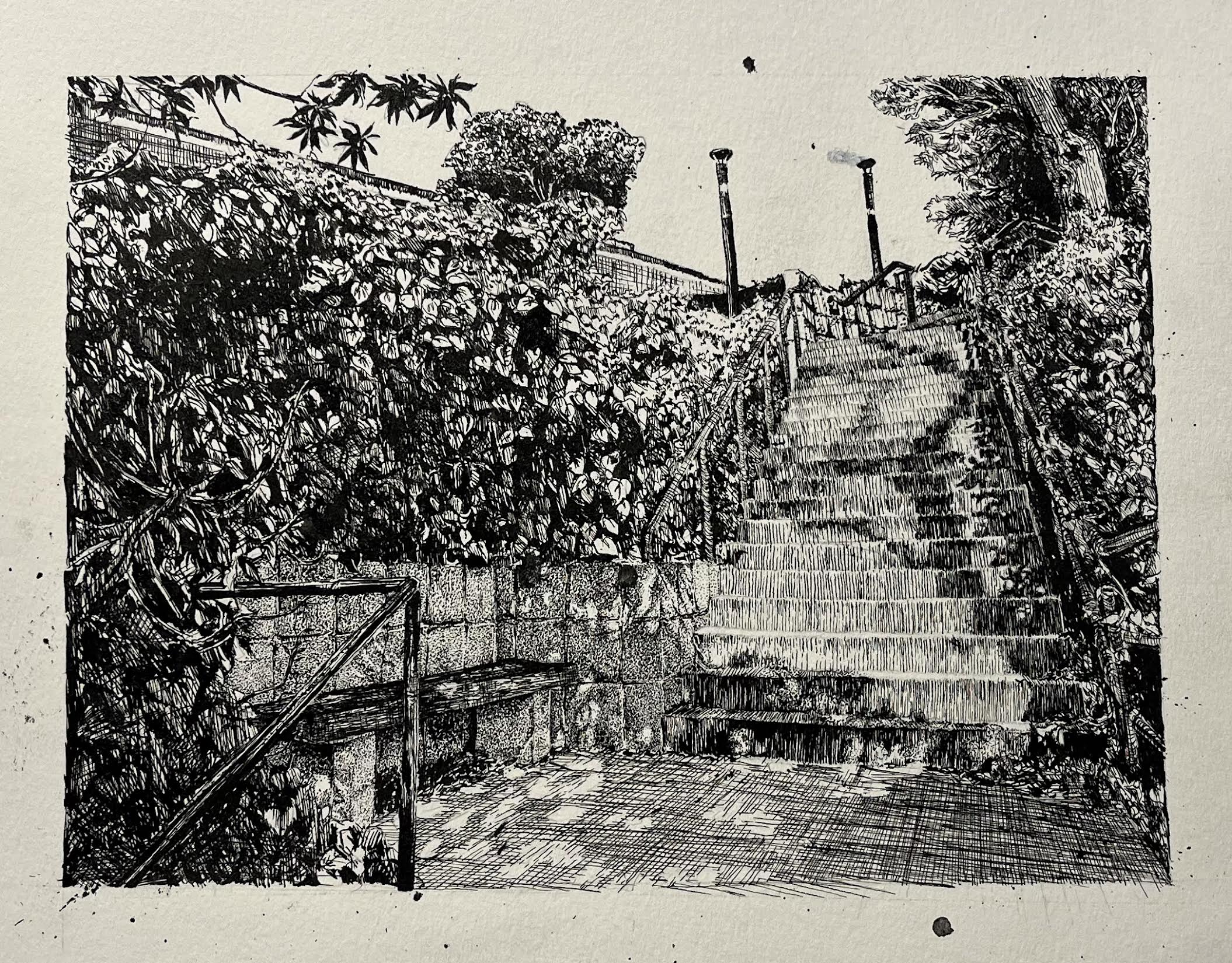 A detailed, black-and-white pen and ink drawing by Iris Keesey showing an outdoor stone staircase flanked by dense foliage and a wooden bench.