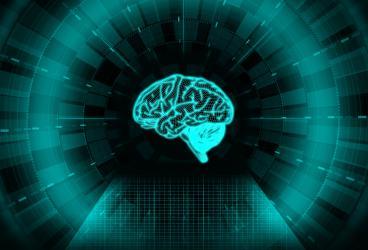 Dynamical Neuroscience