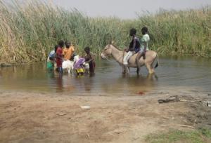 Senegal kids on donkey